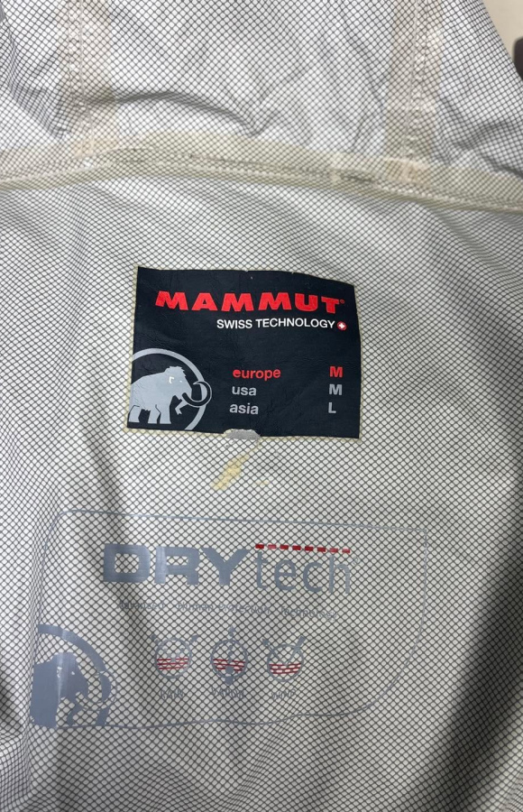 Mammut  